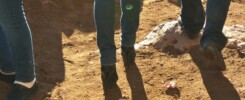 Climbing Mount Sinai in High Heels