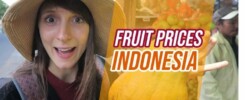 Fruit prices in INDONESIA - Globe in the Hat #19