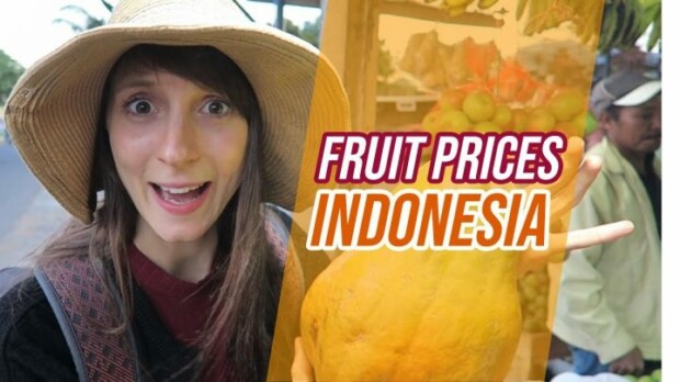 Fruit prices in INDONESIA - Globe in the Hat #19